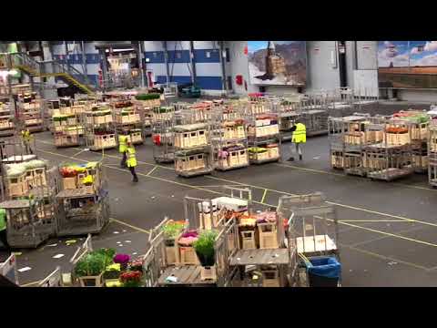 Aalsmeer Flower Warehouse