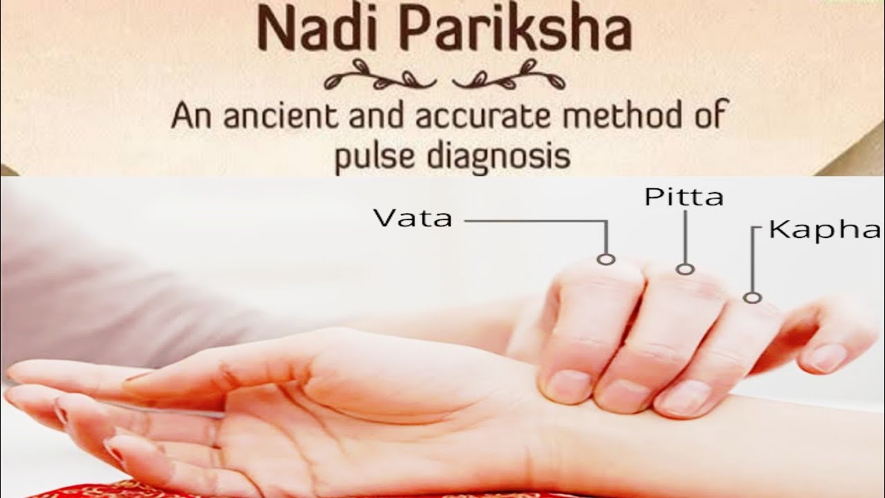 नाड़ी परीक्षा | Nadi Pariksha | Pulse Diagnosis | Ayurved #bams #pulse ...
