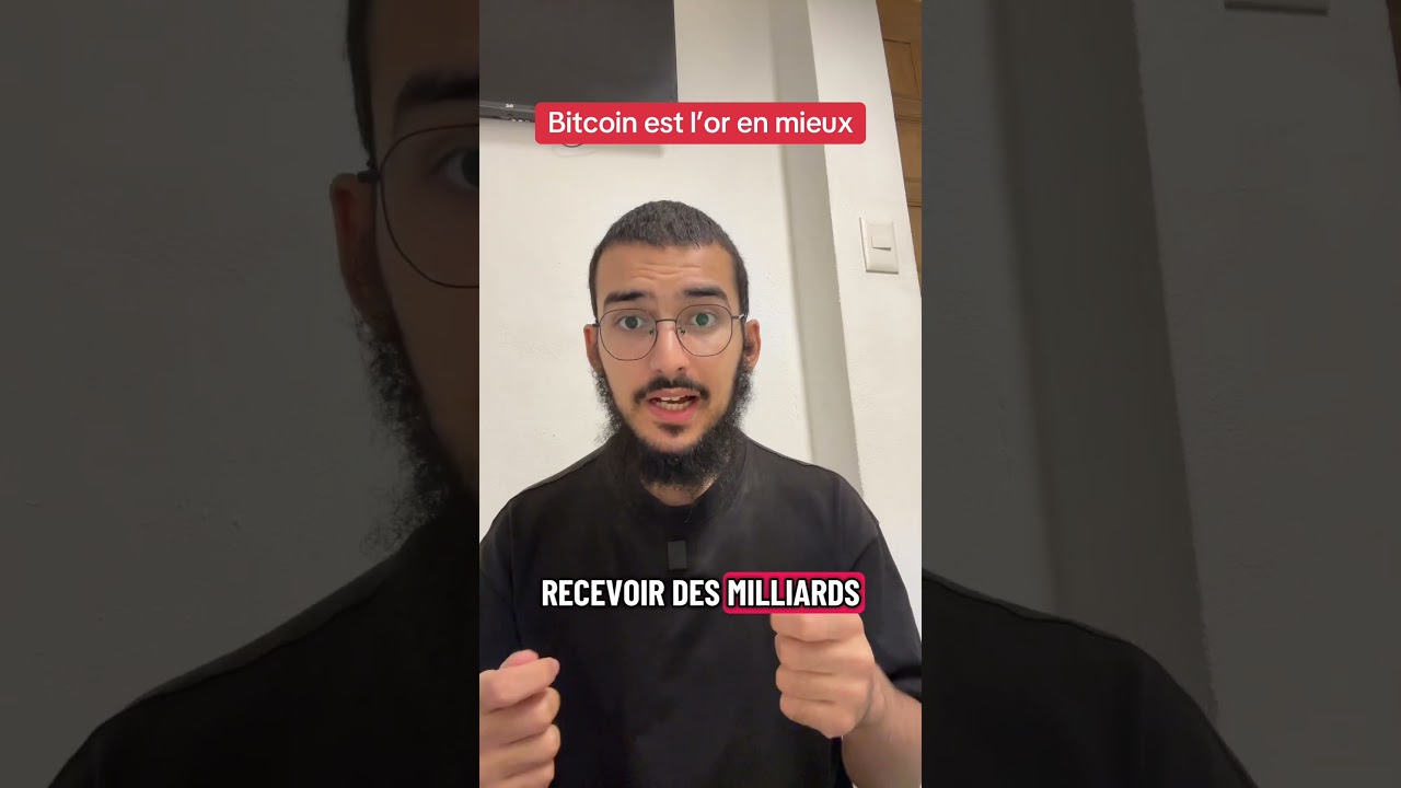 Bitcoin c’est l’or en mieux 