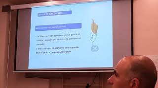 FSWT Onde d'urto ELETTROACUSTICHE BTL