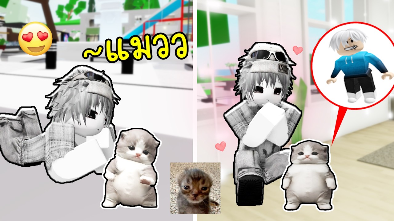 แมวแคระ เคะ โอ้ย~😍😼💕Roblox Brookhaven 🏡RP