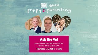 Puppy Parenting class: Ask The Vet with Ben the Vet, John Burns & Nicki Fox | AdmiralUK
