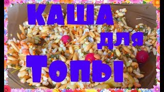 КАША ДЛЯ ВОЛНИСТОГО ПОПУГАЯ! КАША ДЛЯ ВОЛНИСТОГО ПОПУГАЯ!