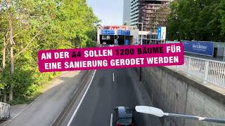 Baumfällungen für A4-Sanierung?