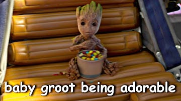 baby groot being adorable