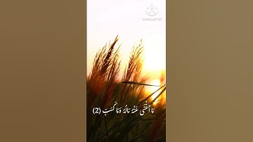سورة المسد/القارئ سعد الغامدي