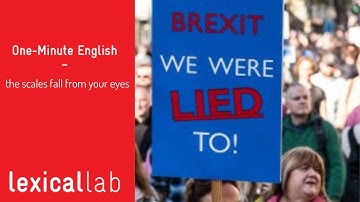 ONE-MINUTE ENGLISH: the scales fell from someone