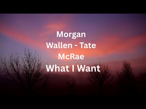 Morgan Wallen Tate Mcrae What I Want Clean Lyrics Morgan Wallen Tate Mcrae What I Want Clean Lyrics