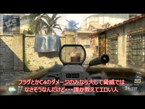 【BO2】ＣＯＤゴーストのＰＥＲＫリーコンが気になる・・・