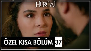 Hercai Özel Kısa Bölümler | 37. Bölüm