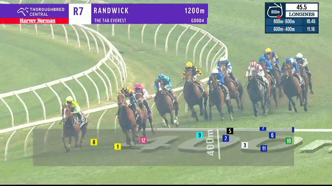 Everest race 2021 field