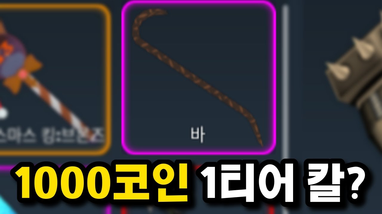 1000코인인데 가성비 1티어라 해서 써봤습니다