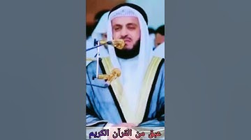 تلاوة رائعة للشيخ مشاري راشد العفاسي💚قرآن كريم💚حالات واتس اب