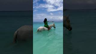 Swimming And Horse Riding In Zanzibar 2022 To Do List