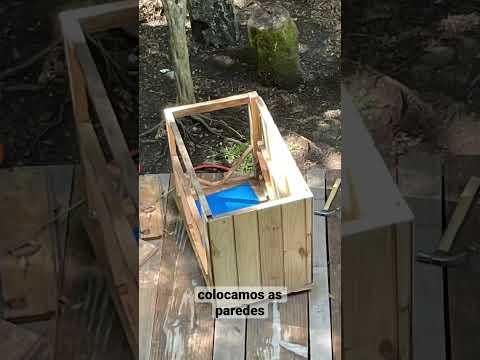 Construindo casinha para