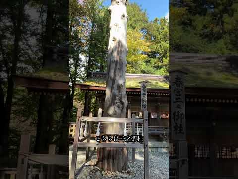 【諏訪大社四社巡り】下社春宮を歩く #旅行 #長野県観光 #観光 #諏訪大社 #諏訪大社下社 #春宮