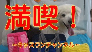 KiSSWann(キッスワン) 詳しくは⇒⇒⇒http://kisswann.com 『お泊まりに来...