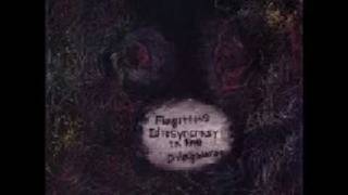 Flagitious Idiosyncrasy in the Dilapidation - Finite Dark Water