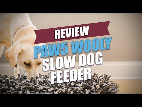 Paw5 Wooly Slow Dog Feeder Review