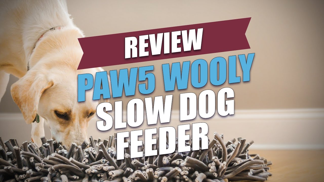 Paw5 Wooly Snuffle Mat Is One of the Best Dog Toys I've Bought