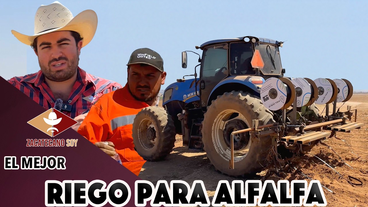 CUÁNTO DINERO SE GASTA REGANDO LA ALFALFA con cintilla