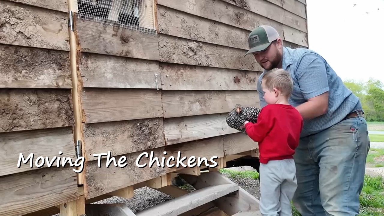 Building Pasture Chicken Mobile | Chicken Move In Day - YouTube