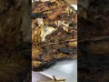 سمج سموج اجر وثواب مصطفى الحجي سمج سموج اجر وثواب مصطفى الحجي