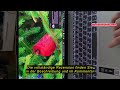 Produktbewertung Lenovo IdeaPad Slim 5 Laptop | Copilot+ PC | 14" WUXGA OLED Display | Qualcomm Snap