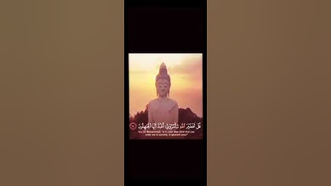 قل افاغير الله تامروني أعبد أيها الجـاهلون😢🌈تلاوه مذهلة وهادئة