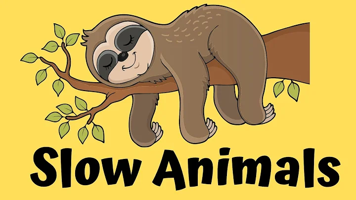 TOP 10 Slowest Animals | Learn Slowest Animals in The World