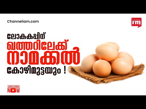ഖത്തർ ലോകകപ്പ് നാമക്കലിലെ കോഴിഫാമുകൾക്ക് ആശ്വാസമാകുമോ? | 5 Crore Eggs to be Exported from Namakkal