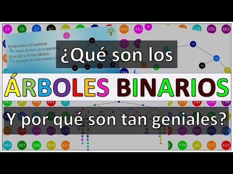 Video: ¿Cuáles son las aplicaciones de los árboles binarios?