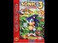 Sonic The Hedgehog 3 Прохождение (Sega)