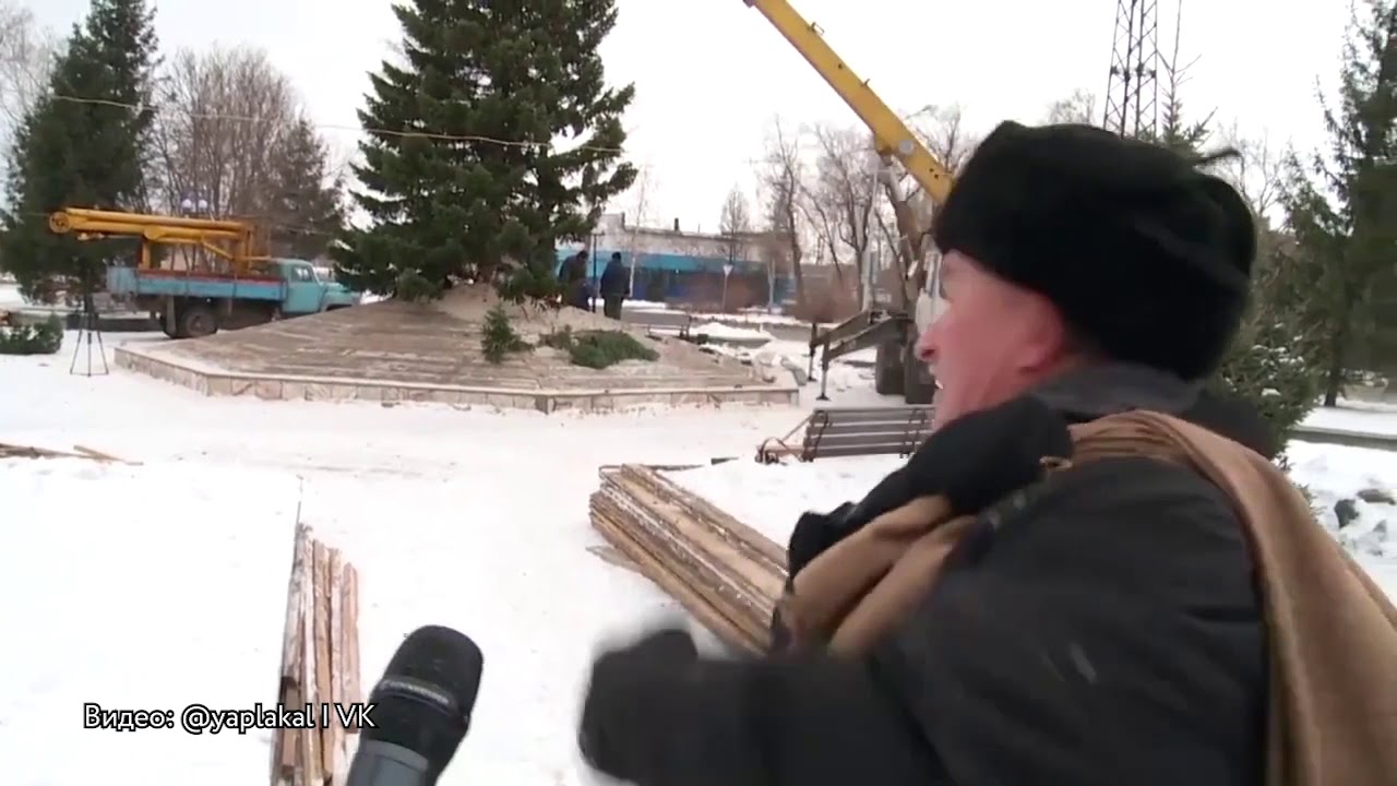 Ложникова карина бийск