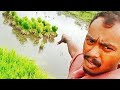 E Gida Lang Titi E Gida Kundi Miruвќ пёЏрџ Ќ YouTube Short Viral Video 2024 E Gida Lang Titi E Gida Kundi Miruвќ пёЏрџ Ќ YouTube Short Viral Video 2024