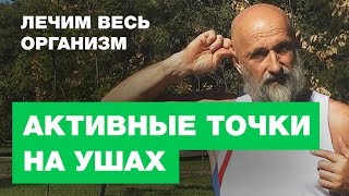 Восстановление Органов - Активные Точки На Ушах Восстановление Органов - Активные Точки На Ушах