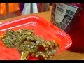 Recipe for How To Cook Fresh Kale with Turkey Leg in Power Pressure Cooker XL