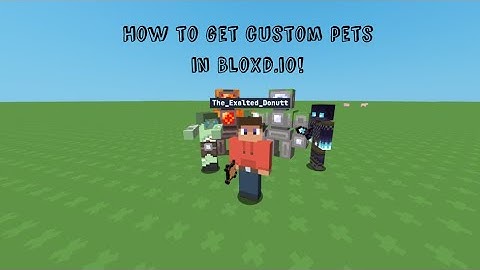 How to get custom pets in Bloxd.io!