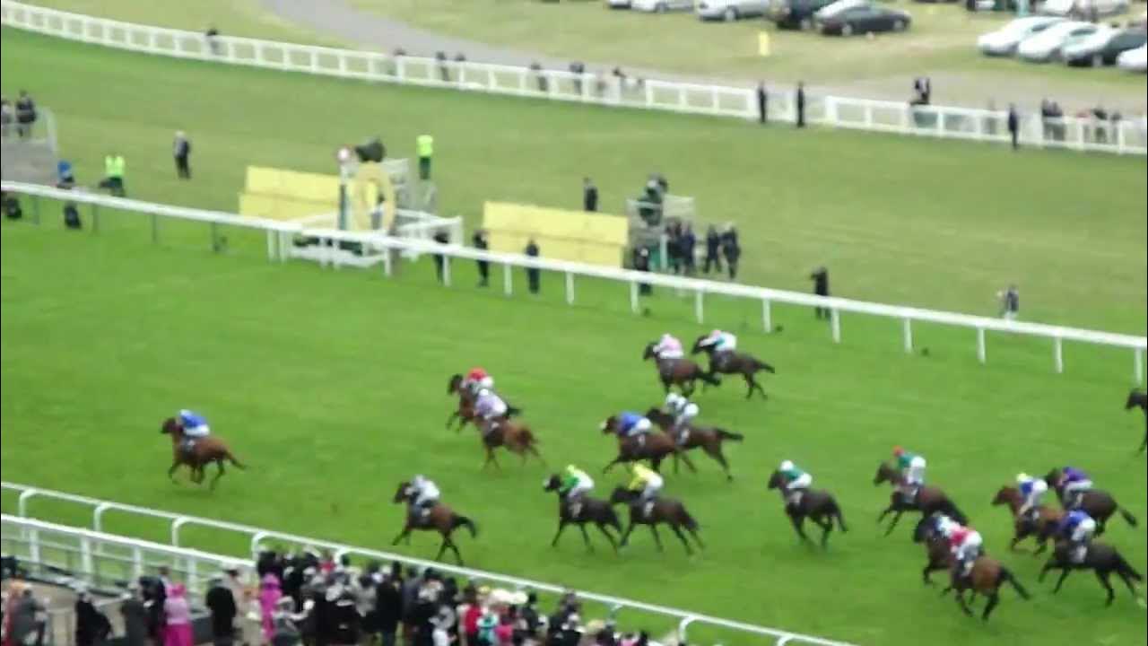 Horses, Cavalli da corsa, Ascot spettacolare corsa con 30 cavalli al galoppo sulle 2 miglia