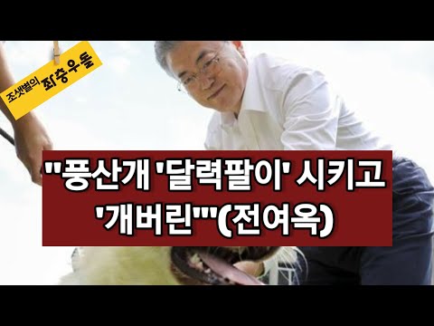 <strong>전여옥</strong> &amp;quot;풍산개 보내기 전 &amp;#39;달력팔이&amp;#39;로 알뜰히 써먹었다&amp;quot;