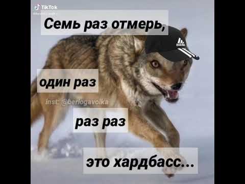 Хардбасс это. Раз-раз-раз это хардбасс. Волки качаются Мем. Цитаты волка. Хардбас мемы.