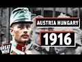 La mort de larme austrohongroise 1916 documentaire offensif de brusilov