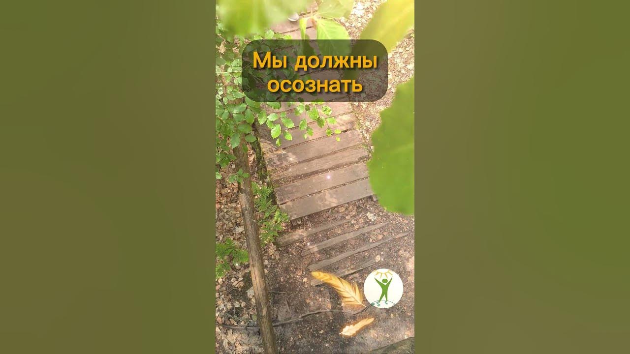🐦Ретрит в Саксонской Швейцарии. Путевые заметки. Цените себя. Мария ...
