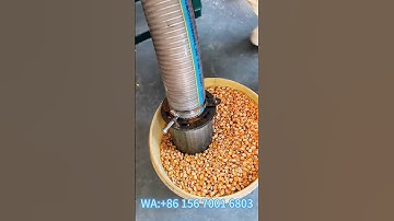 High efficiency multifunctional self-priming corn grinder, automatic feeding saves time and labor.