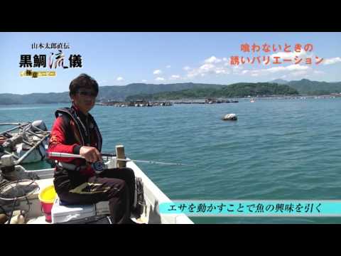 黒鯛流儀 ザ 極意 ムービー 『喰わないときの誘いバリエーション』