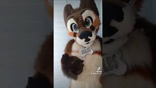 It's not weird if your a Furry? right ? #furry #furries #furryfandom #fursuit #fursuiter #fursuiting