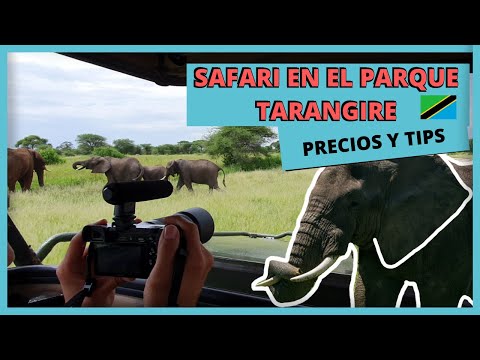 Video: Parque Nacional Tarangire: la guía completa