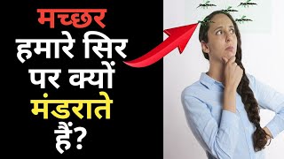 मच्छर हमारे सिर पर क्यों मंडराते हैं ? Random facts Hindi | #shorts #facts