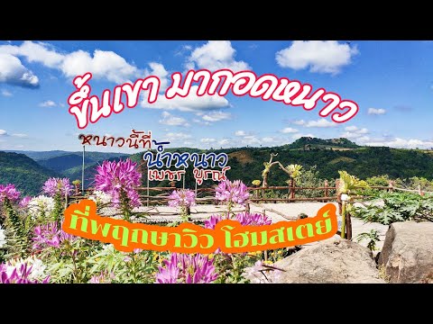 Vlog ขึ้นเขา มากอดหนาว # ที่พฤกษาวิว โฮมสเตย์ ที่พักดี วิวสวย บรรยากาศให้ น้ำหนาว !!!