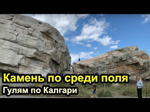 Видео: Отменят ли паническое бегство в Калгари 2021?